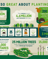 Infographic: What's So Great About Planting Trees?